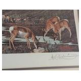 Antelope in Ranch Country Framed Print by Les Kouba