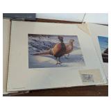 Assorted Unframed Duck Stamp Prints
