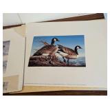Assorted Unframed Duck Stamp Prints