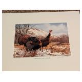 Framed and Unframed David Maass Prints