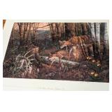 Four Unframed Deer Prints