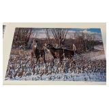 Four Unframed Deer Prints