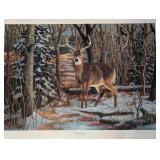 Four Unframed Deer Prints