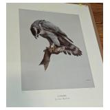 Assorted Unframed Bird Prints