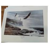 Assorted Unframed Bird Prints