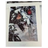 Assorted Unframed Bird Prints