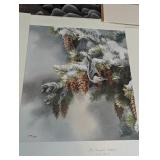 Assorted Unframed Bird Prints