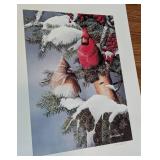 Assorted Unframed Bird Prints