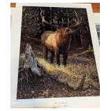 Assorted Unframed Wildlife Prints