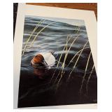 Assorted Unframed Wildlife Prints