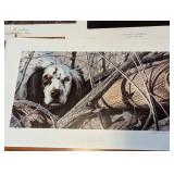 Assorted Unframed Wildlife Prints