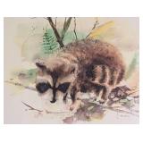 Framed Raccoon Watercolor Painting by J. McWethy