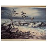 Framed Bluebill Point Print by Terry Redlin