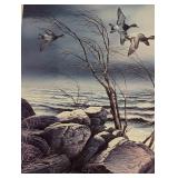 Framed Bluebill Point Print by Terry Redlin