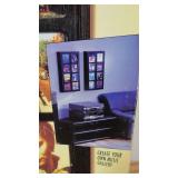 The Art of Music Wall Mount CD Gallery-Holds 48