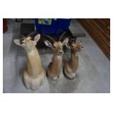 3 - Impala Mounts Large, Medium and Small