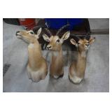 3 - Impala Mounts Large, Medium and Small