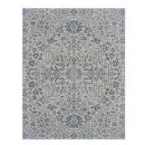Hampton Bay Osprey Blue 8 ft. x 10 ft. Floral Medallion Indoor/Outdoor Area Rug    Customer Returns See Pictures