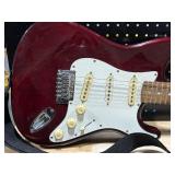 Johnson Guitar