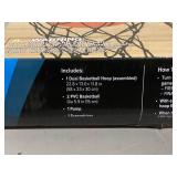 Over-the-Door Basketball Dual Hoop, Indoor Sports Game, Plastic, for All Ages, by MinnARK