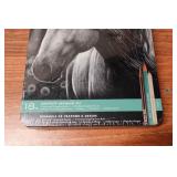 Prismacolor Graphite Drawing Set