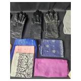 Assorted Lot of Winter Gloves and Scarves