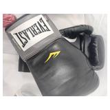 Everlast Boxing lot