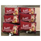 Lot of Sweet Summertime Throw Pillows  Customer Returns See Pictures