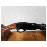 Remington Model 572 Fieldmaster