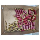 Shotgun Ammo and .223 Ammo