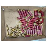 Shotgun Ammo and .223 Ammo