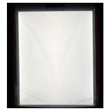 Varilux - Revolutionary Lenses Light Frame with Smart Power Switching Adapter - Viewing Area Approx. 10in. X 8in. ** NEW