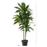 Nearly Natural Real Touch 48 in. Artificial H Green Dracaena Silk Plant Customer Returns See all Pictures
