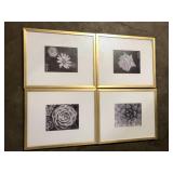StyleWell 16" x 20" Matted to 8" x 10" Gold Gallery Wall Picture Frame (Set of 4) Customer Return Review all pictures