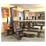 Vectra On-Line 1500 Workout System