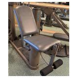 Vectra On-Line 1500 Workout System