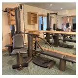 Vectra On-Line 1500 Workout System