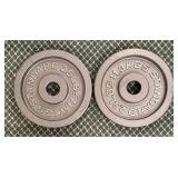 Two Standard 25 Pound Weights
