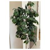 Fine Faux Fica Tree