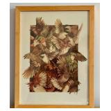 Framed Ink Jet Print Red Throated, Black Capped Spotted Barred Birds by Teagan White