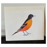 "Baltimore Oriole" Unframed Print by Dustin Davis