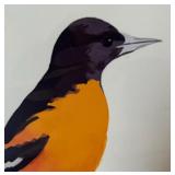 "Baltimore Oriole" Unframed Print by Dustin Davis