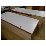 (2) Lab Tables/Desks