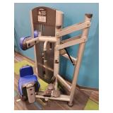 Life Fitness Torso Rotation Machine
