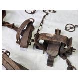 Lot of 6 Vintage Steel Animal Traps with Chains