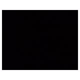 Set of 5 Assorted Beer Glasses and Mugs