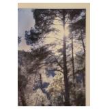 Three Signed Leighton Siegel Photographs