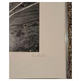 Three Leighton Siegel Photographs