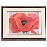 Framed Poppy Print