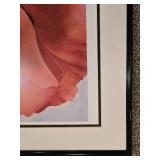 Framed Poppy Print